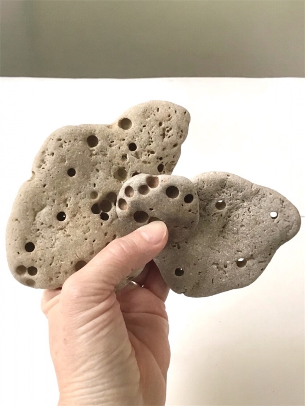Holey Hag Stones 3 Natural Formed Florida Beach Rocks Coastal Decor Arts Crafts